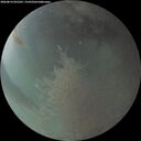 ./images/calvert/underwater/20260814/underwater20260814_055501M.jpg