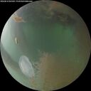 ./images/calvert/underwater/20260814/underwater20260814_061002M.jpg
