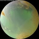 ./images/calvert/underwater/20260814/underwater20260814_070501M.jpg