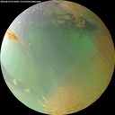 ./images/calvert/underwater/20260814/underwater20260814_071002M.jpg