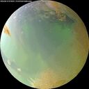./images/calvert/underwater/20260814/underwater20260814_072001M.jpg