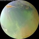 ./images/calvert/underwater/20260814/underwater20260814_080001M.jpg