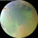 ./images/calvert/underwater/20260814/underwater20260814_080501M.jpg