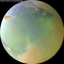 ./images/calvert/underwater/20260814/underwater20260814_081001M.jpg