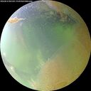 ./images/calvert/underwater/20260814/underwater20260814_081502M.jpg