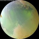 ./images/calvert/underwater/20260814/underwater20260814_082001M.jpg