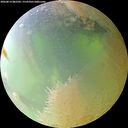 ./images/calvert/underwater/20260814/underwater20260814_082501M.jpg