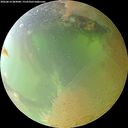 ./images/calvert/underwater/20260814/underwater20260814_083001M.jpg