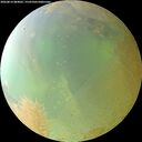 ./images/calvert/underwater/20260814/underwater20260814_084001M.jpg
