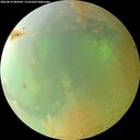 ./images/calvert/underwater/20260814/underwater20260814_084501M.jpg