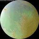 ./images/calvert/underwater/20260814/underwater20260814_085001M.jpg