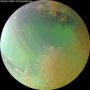 ./images/calvert/underwater/20260814/underwater20260814_100001M.jpg