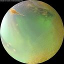 ./images/calvert/underwater/20260814/underwater20260814_102501M.jpg