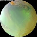 ./images/calvert/underwater/20260814/underwater20260814_103501M.jpg