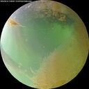 ./images/calvert/underwater/20260814/underwater20260814_110002M.jpg