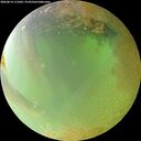 ./images/calvert/underwater/20260814/underwater20260814_111002M.jpg