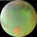 ./images/calvert/underwater/20260814/underwater20260814_111501M.jpg