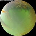 ./images/calvert/underwater/20260814/underwater20260814_113501M.jpg