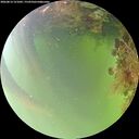 ./images/calvert/underwater/20260814/underwater20260814_121002M.jpg