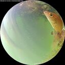 ./images/calvert/underwater/20260814/underwater20260814_131501M.jpg