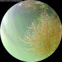 ./images/calvert/underwater/20260814/underwater20260814_132501M.jpg