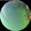 ./images/calvert/underwater/20260814/underwater20260814_134502M.jpg