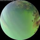 ./images/calvert/underwater/20260814/underwater20260814_135501M.jpg