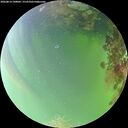 ./images/calvert/underwater/20260814/underwater20260814_140001M.jpg