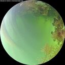 ./images/calvert/underwater/20260814/underwater20260814_140501M.jpg