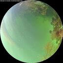 ./images/calvert/underwater/20260814/underwater20260814_141002M.jpg