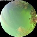 ./images/calvert/underwater/20260814/underwater20260814_141501M.jpg