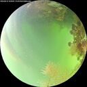 ./images/calvert/underwater/20260814/underwater20260814_142001M.jpg