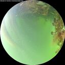 ./images/calvert/underwater/20260814/underwater20260814_142502M.jpg