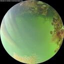 ./images/calvert/underwater/20260814/underwater20260814_143001M.jpg