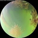 ./images/calvert/underwater/20260814/underwater20260814_150001M.jpg