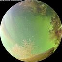 ./images/calvert/underwater/20260814/underwater20260814_150501M.jpg