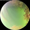 ./images/calvert/underwater/20260814/underwater20260814_154001M.jpg