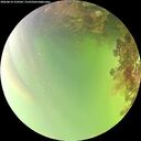 ./images/calvert/underwater/20260814/underwater20260814_154501M.jpg