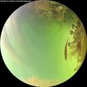 ./images/calvert/underwater/20260814/underwater20260814_155001M.jpg