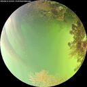 ./images/calvert/underwater/20260814/underwater20260814_155501M.jpg