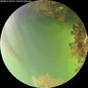 ./images/calvert/underwater/20260814/underwater20260814_160501M.jpg