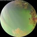 ./images/calvert/underwater/20260814/underwater20260814_161001M.jpg
