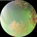 ./images/calvert/underwater/20260814/underwater20260814_161502M.jpg