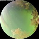 ./images/calvert/underwater/20260814/underwater20260814_162001M.jpg