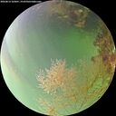 ./images/calvert/underwater/20260814/underwater20260814_163001M.jpg