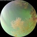 ./images/calvert/underwater/20260814/underwater20260814_164001M.jpg