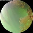 ./images/calvert/underwater/20260814/underwater20260814_164501M.jpg
