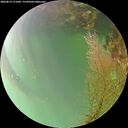./images/calvert/underwater/20260814/underwater20260814_171001M.jpg