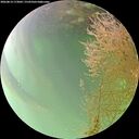 ./images/calvert/underwater/20260814/underwater20260814_173001M.jpg