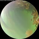 ./images/calvert/underwater/20260814/underwater20260814_174001M.jpg